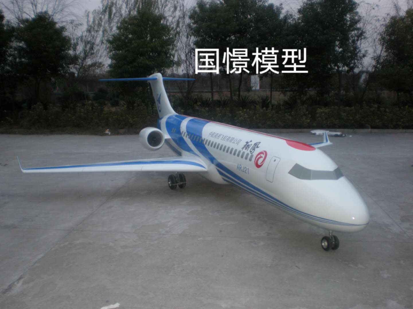 东兴市飞机模型